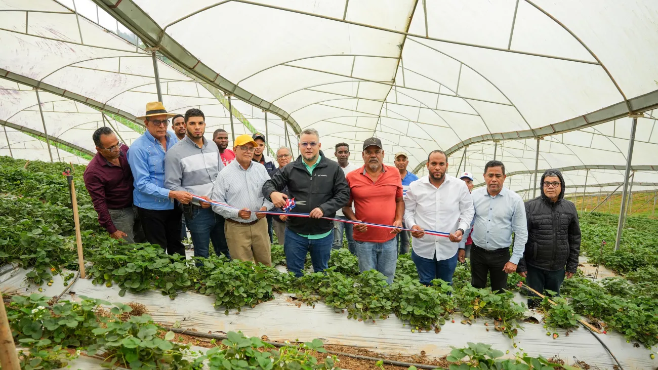 WhatsApp Image 2024-11-28 at 10.27.39 AM