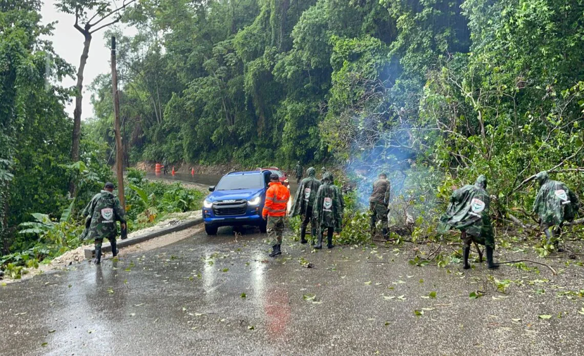 FUERZAS-ARMADAS-1140x694