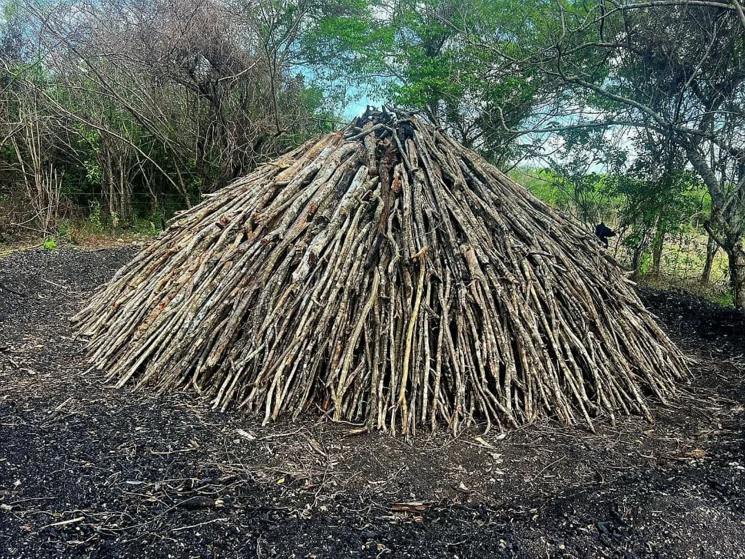 senpa-y-medio-ambiente-intensifican-operativos-en-defensa-de-los-recursos-naturalesincautan-mad-2-097567bc