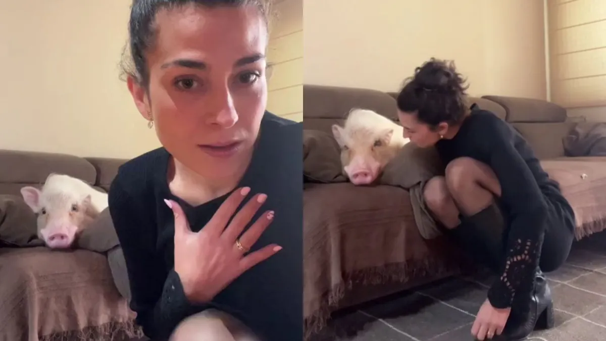 andrea-y-su-cerdito-bambu_988f