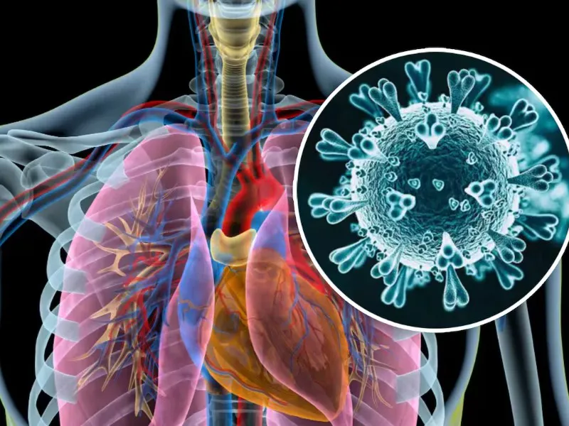 oms-pide-calma-ante-brote-de-infecciones-respiratorias-en-china-583237