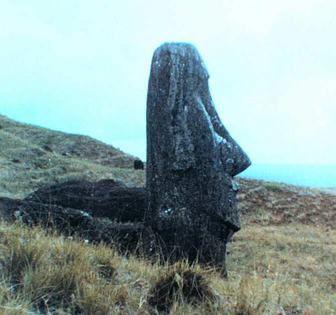 1268_el-adn-contradice-la-historia-aceptada