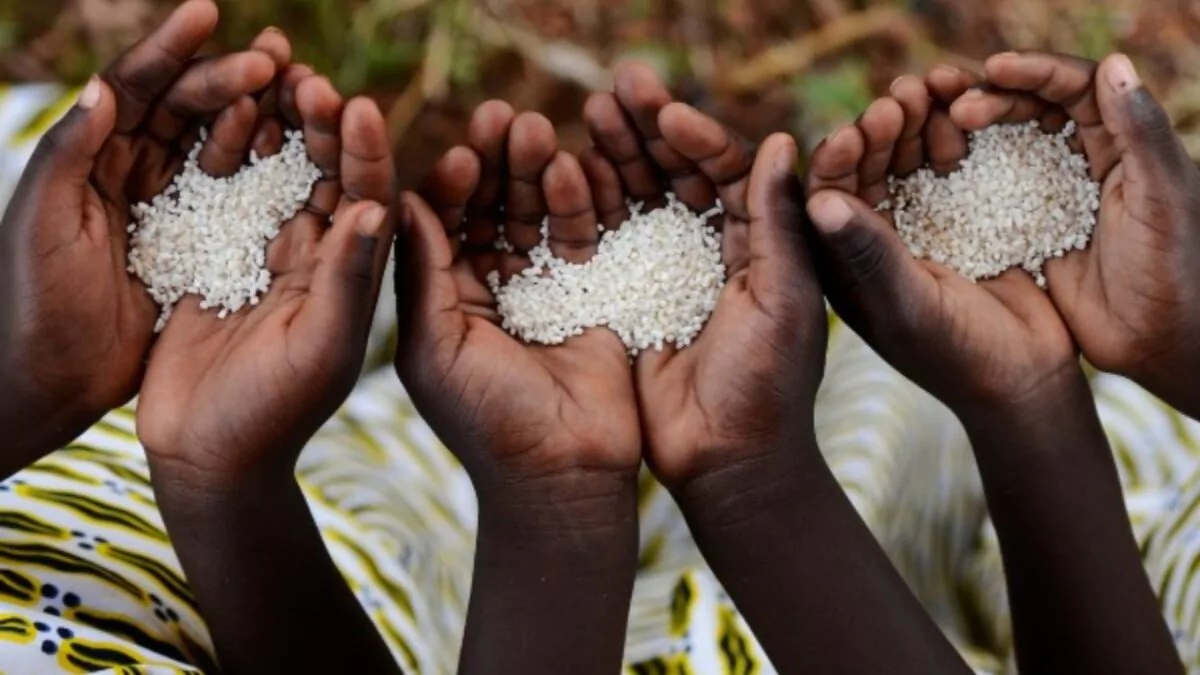 la-onu-avisa-de-que-el-nino-puede-sumir-en-el-hambre-a-5-4-millones-de-personas-20260923-165322-ndtb-1200x675