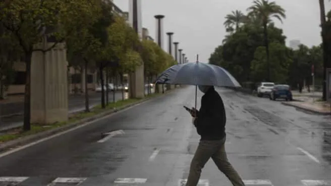 EuropaPress_3449314_hombre_camina_protegido_lluvia_paraguas_ciudades_andaluzas_cordoba_sevilla-656x368-1