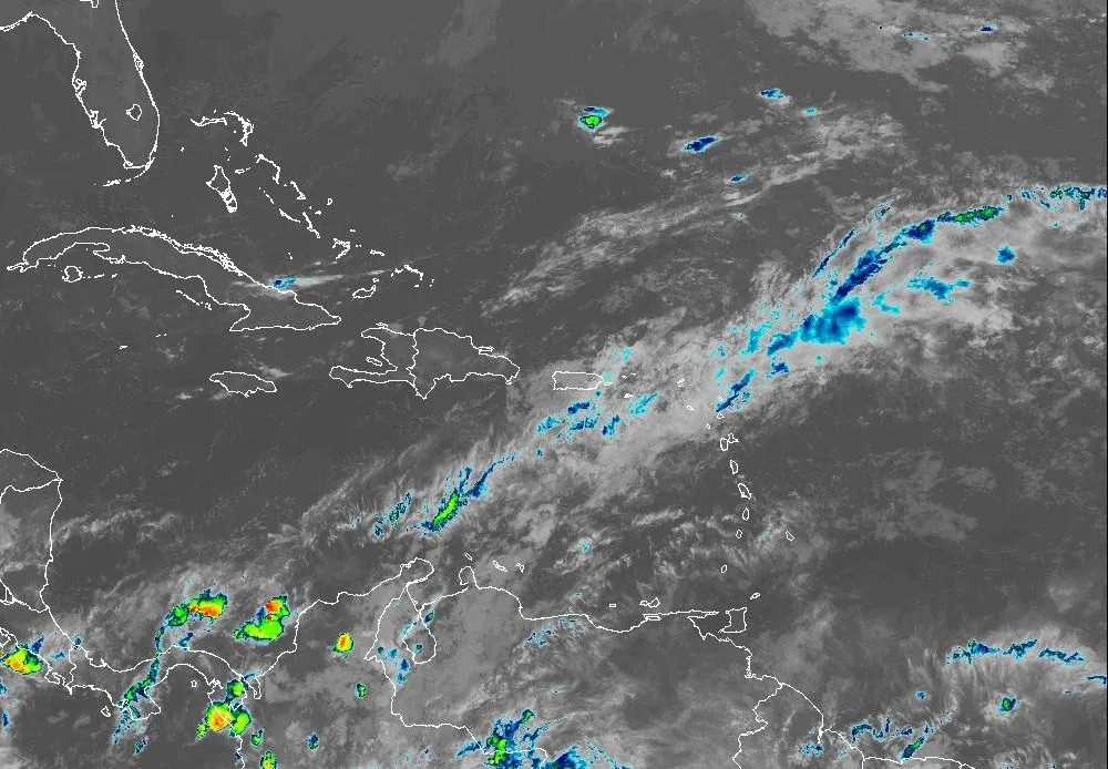 Vaguada-Indomet-1000x694