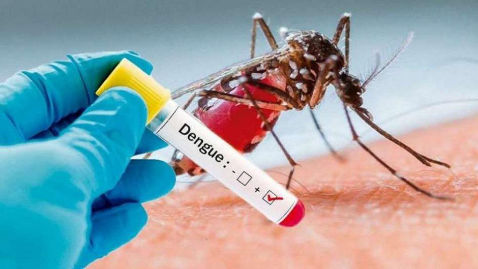 dengue1-940x529-1