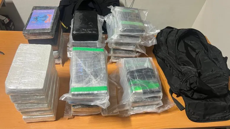 61afe67d-c41d-4db4-b41f-92b89bcd1289-777x437