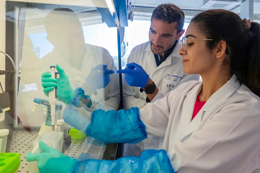 alimento-envejecimiento