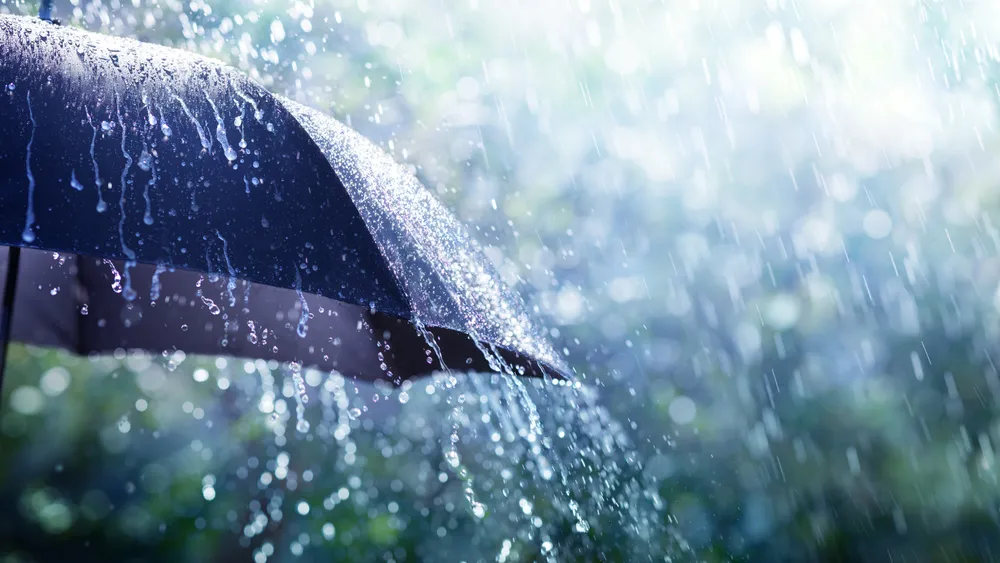 Claudia-COLLAGES-PANORAMA-6