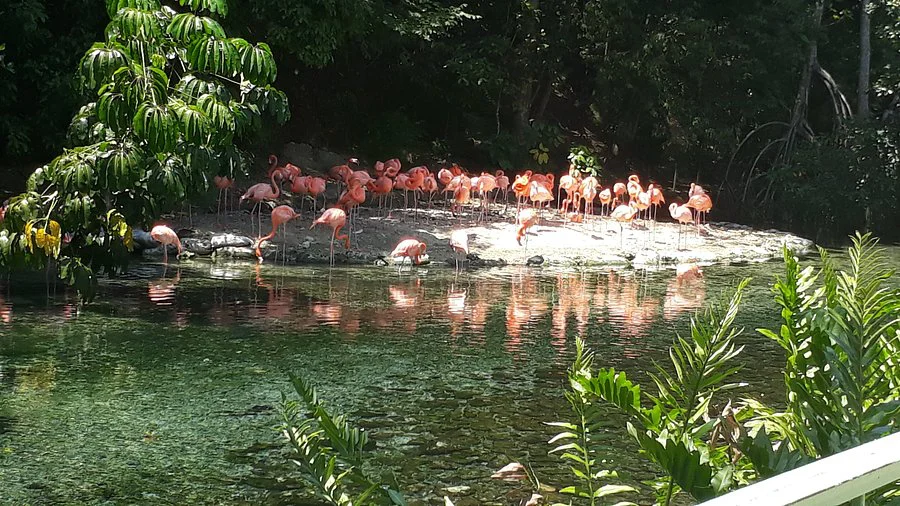 parque-zoologico-nacional