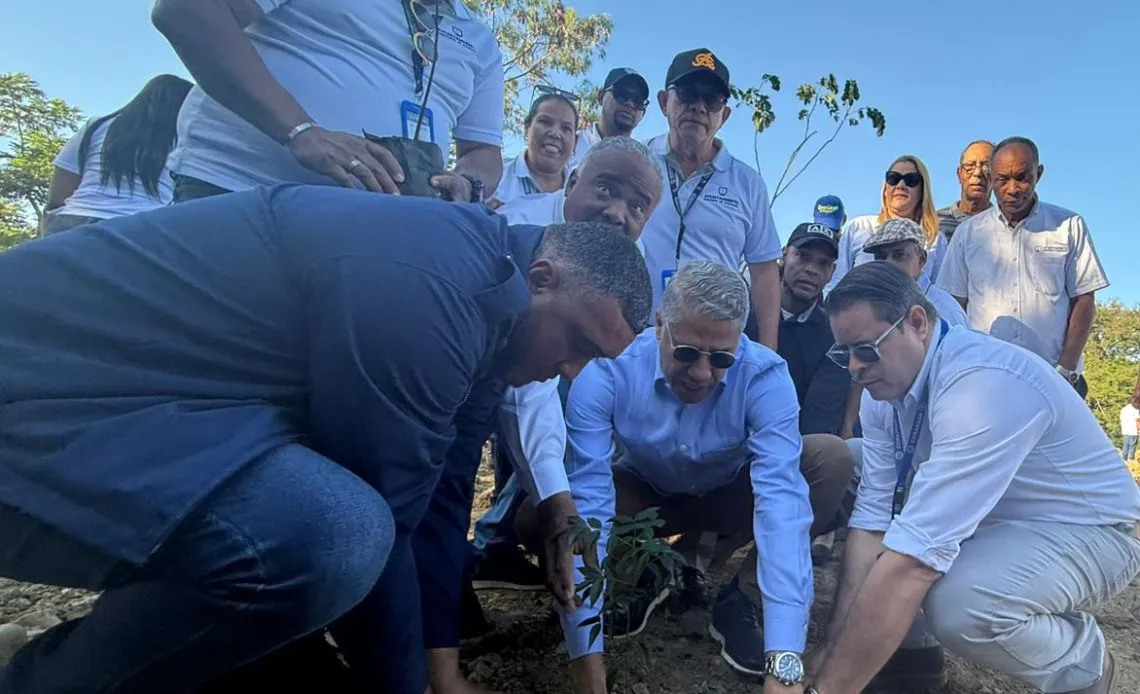 reforestacion-1140x694