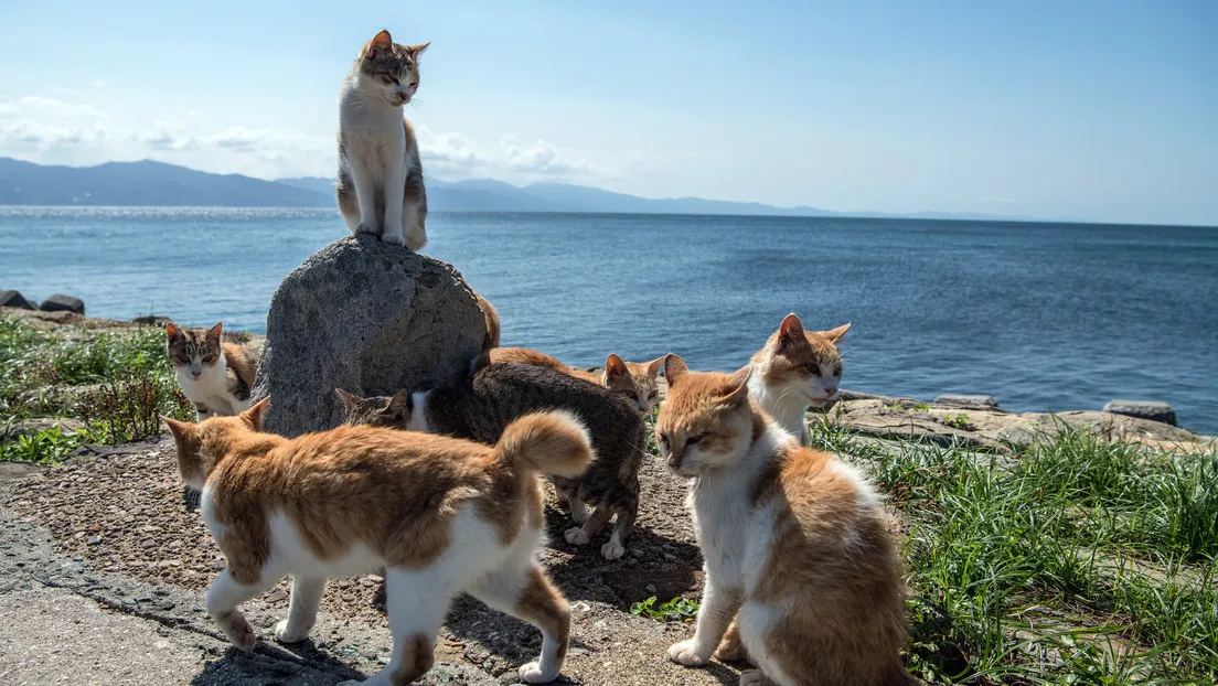 67eba4c6e9ff712fbf4cc71f