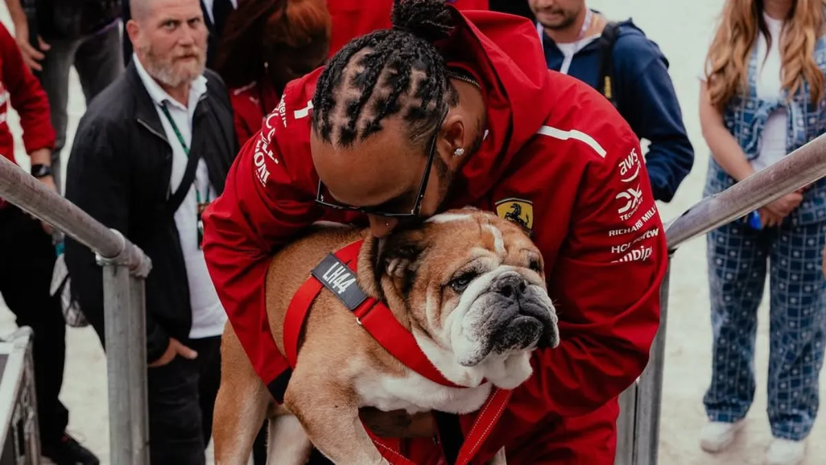 lewis-hamilton-despidio-perro-roscoe