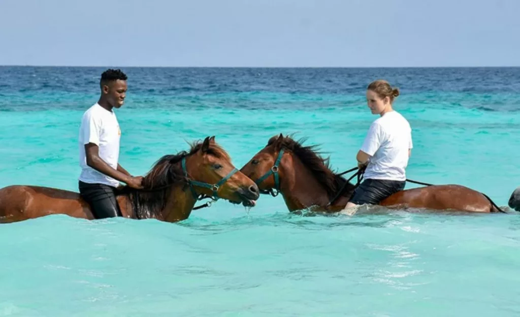 Swim-Horse-turismo-1-1024x624