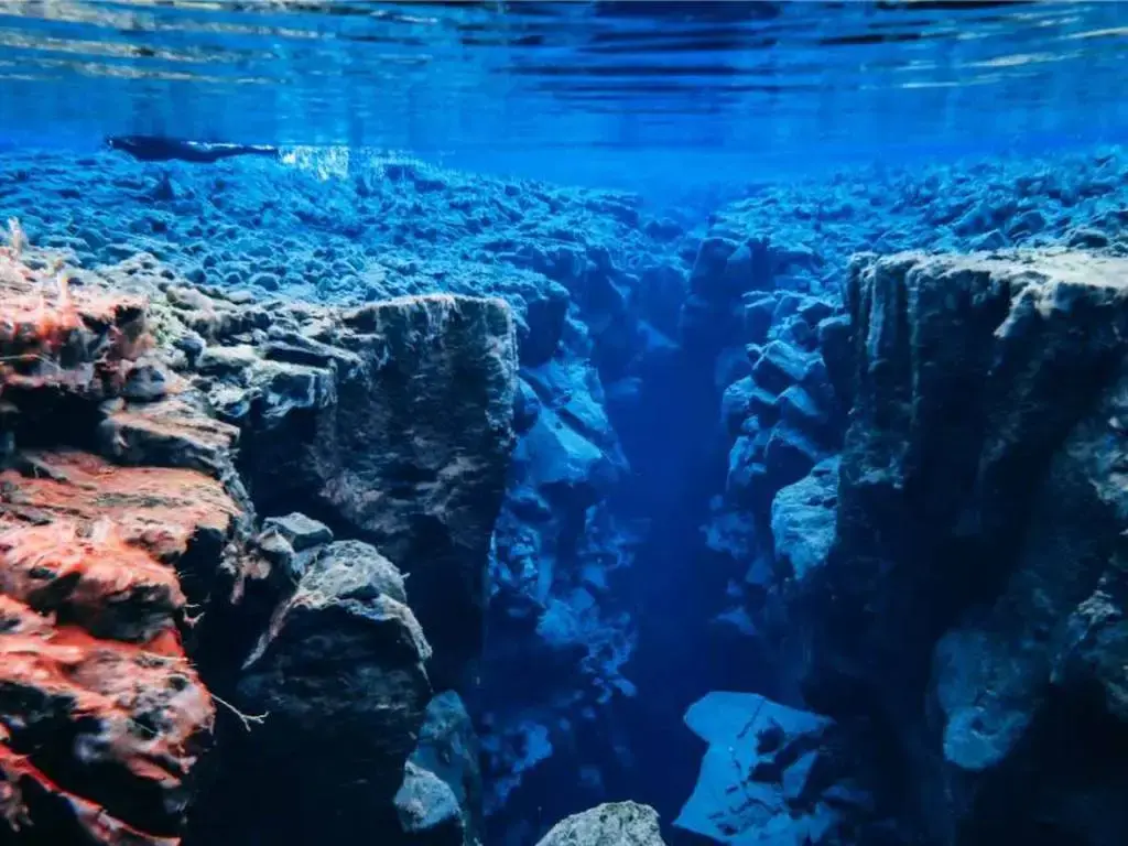 cordillera-submarina
