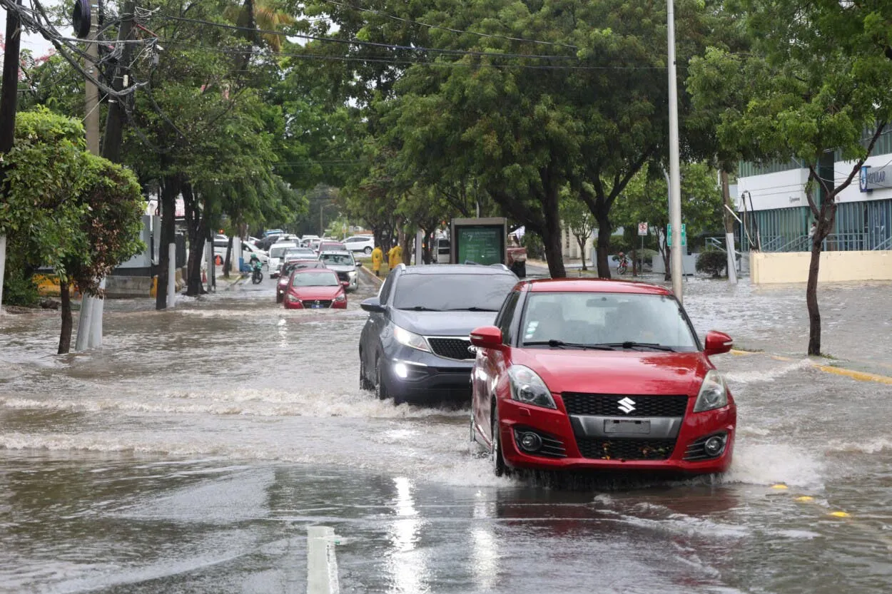 WhatsApp-Image-2025-05-16-at-12.21.54-PM