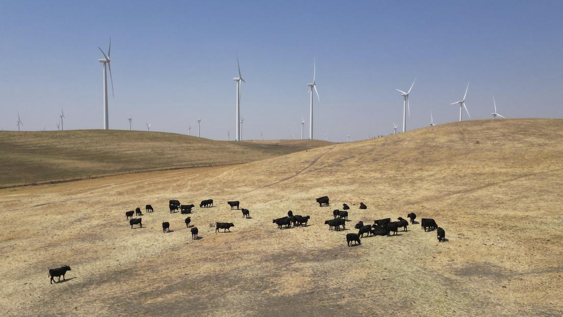 660da44ee9ff7146ea269f9d