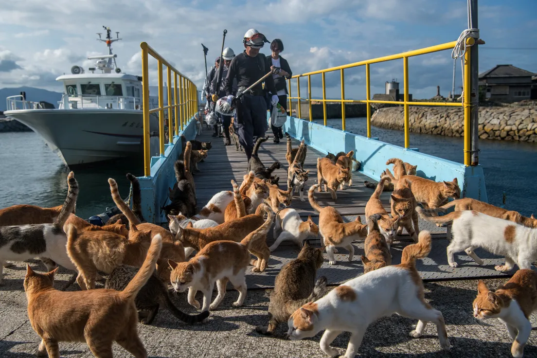 67eba4dc59bf5b2167689c96