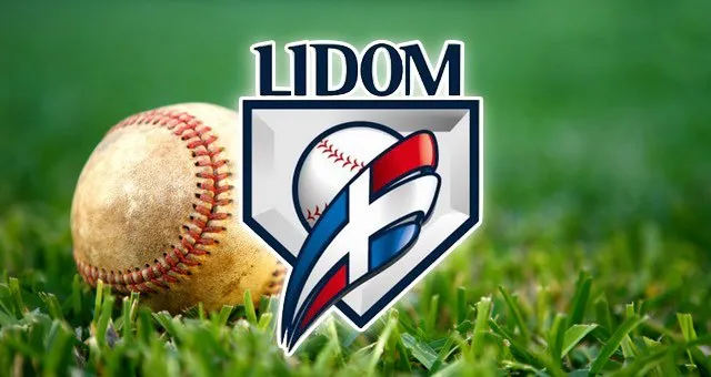 969d73cc-lidom