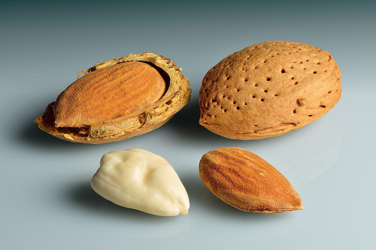 Almonds_-_in_shell,_shell_cracked_open,_shelled,_blanched