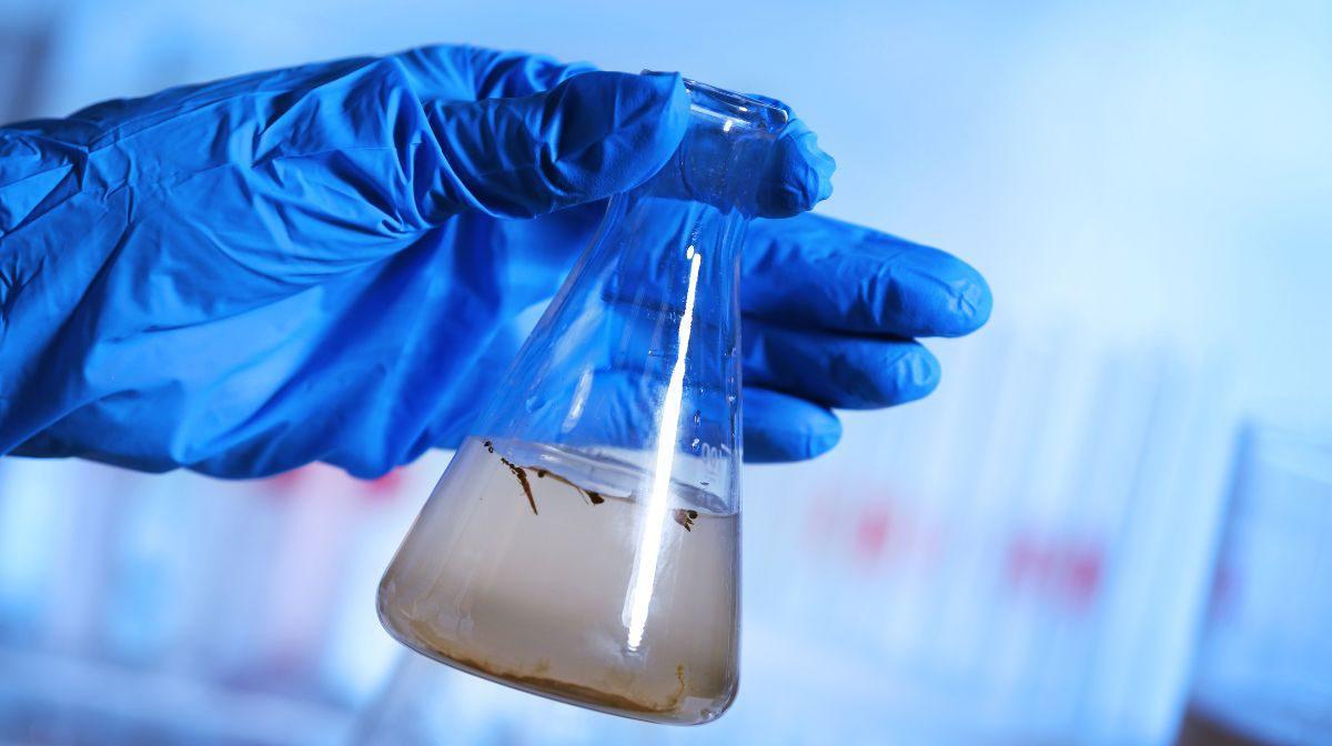 canva-eauxuseeslabo-ima