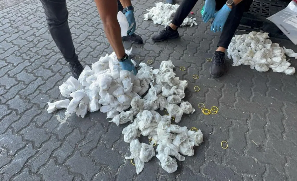 Puerto-Haina-DNCD-incauta-en-panales-mas-de-700-guantes-quirurgicos-llenos-de-marihuana-1140x694