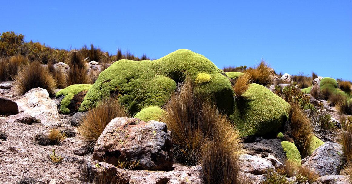 multimedia.normal.a599b5da206988e8.6c6c61726574612d32412d5745425f6e6f726d616c2e6a7067