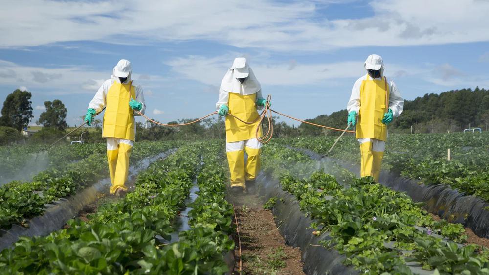 uso-de-pesticidas