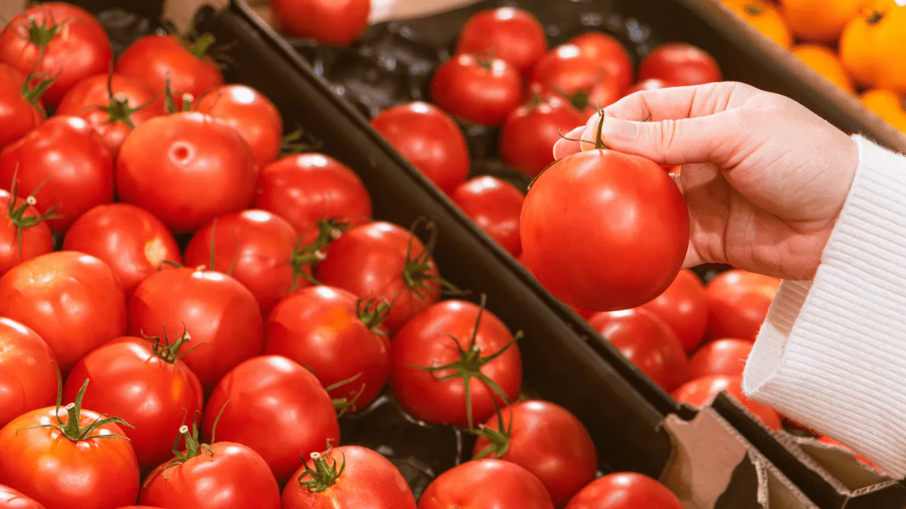 eu-impone-aranceles-del-2091-a-tomate-mexicano-810548bc